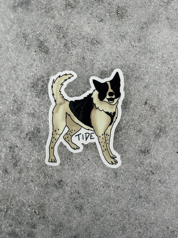 Tide the Sled Dog Sticker