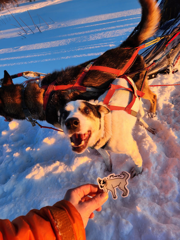 Moon the Sled Dog Sticker