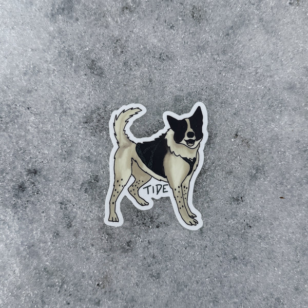 Tide the Sled Dog Sticker