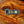 Close-up of Adventure Film Roll Glitter Sticker